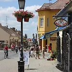 Aqua Termál Szálloda Mosonmagyaróvár
