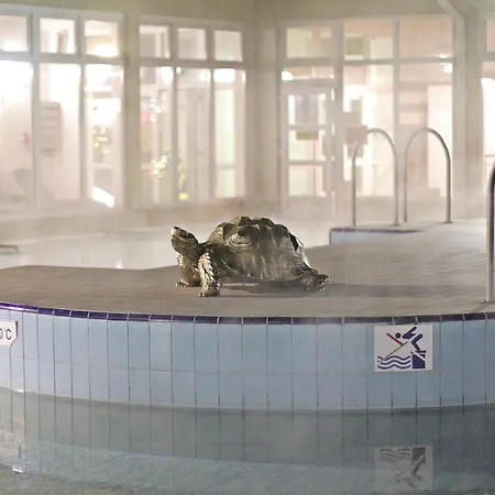 Aqua Termal Hotel