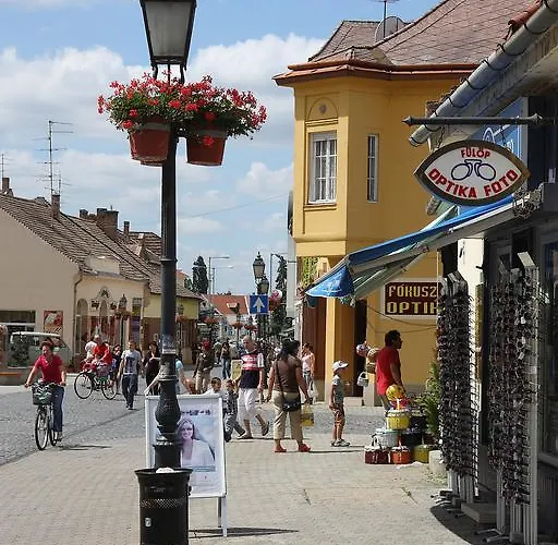 Aqua Termál Hotel Mosonmagyaróvár